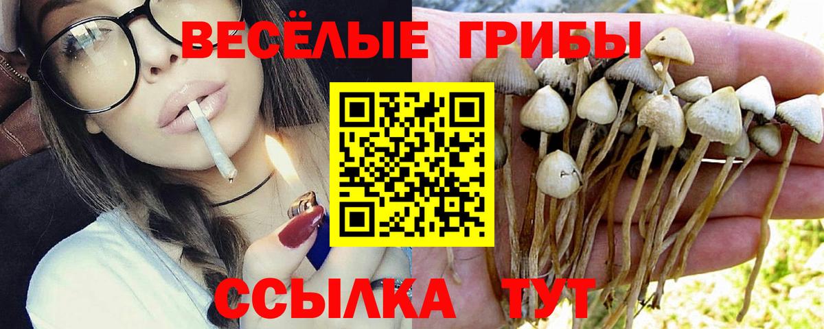 Галлюциногенные грибы прущие грибы  сколько стоит  Екатеринбург  Вход с VPN 