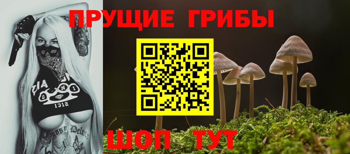 Псилоцибиновые грибы мухоморы Екатеринбург
